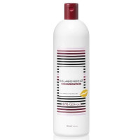 Eslabondexx Smooth Catalyst_Окислювальна емульсія 6% 1000мл Eslabondexx Smooth Catalyst_Окислювальна емульсія 6% 1000мл